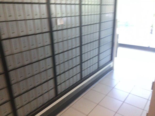 Frame 11
